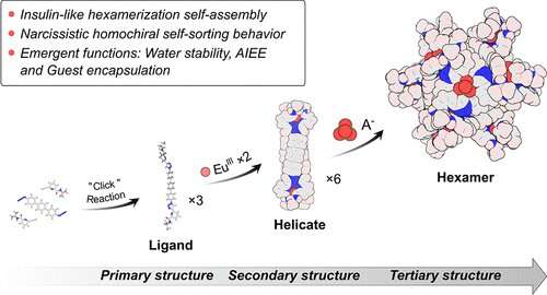 Hexameric lanthanide-organic capsules with tertiary structure, emergent functions