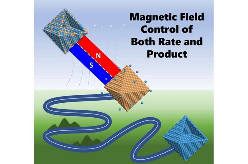 High magnetic fields control both rate and product of chemical reactions