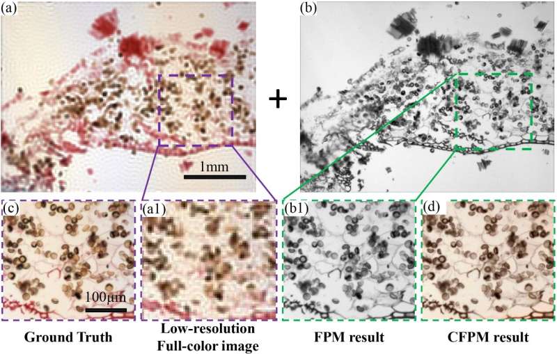 High-throughput fast full-color Fourier ptychographic microscopy is promising in digital pathology