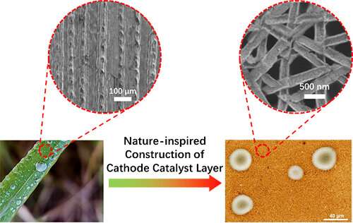 Highly durable biomimetic nanotrough electrodes for proton exchange membrane fuel cells