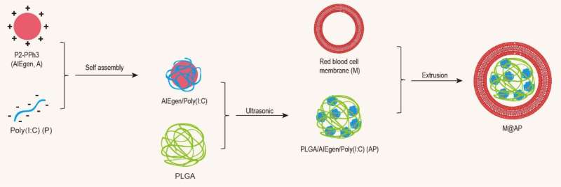 Highly efficient photodynamic-immunotherapy by combining AIEgen with Poly(I:C)