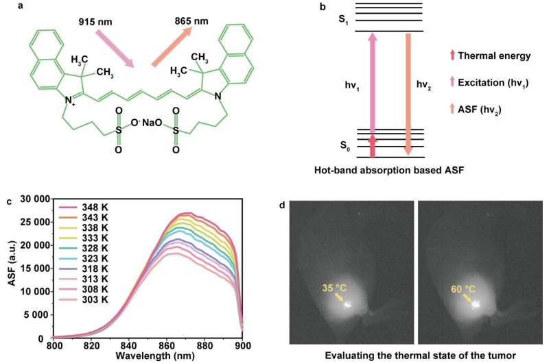 Hot-band absorption of Indocyanine Green for advanced anti-Stokes fluorescence bioimaging
