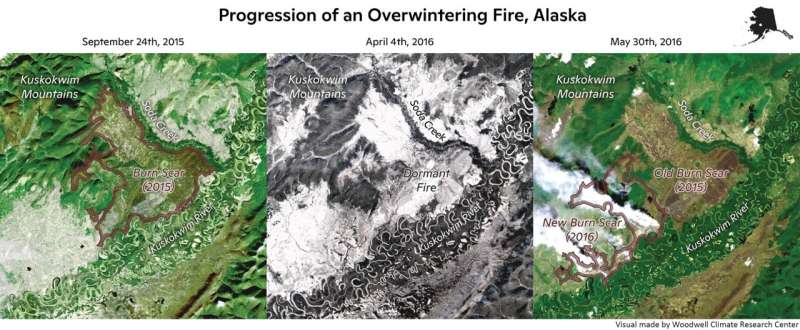 Hot summers, intense burn seasons seed 'zombie' fires: study