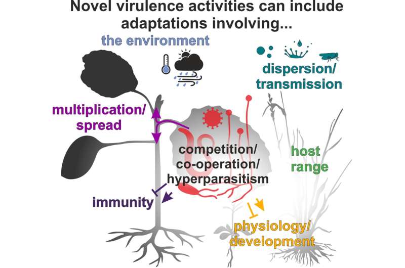 How do pathogens evolve novel virulence activities and why does it matter?