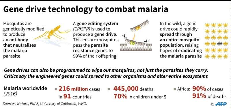 How gene drive technology could be used to combat malaria. Includes factbox on malaria worldwide