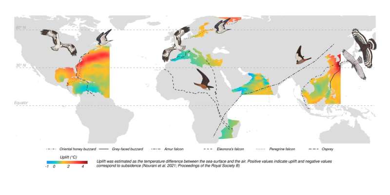 How land birds cross the open ocean