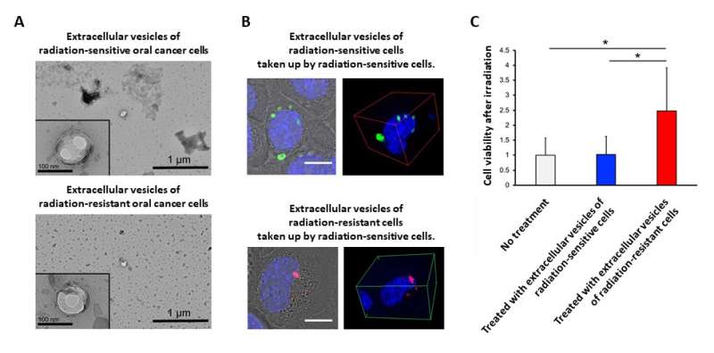 How oral cancer acquires radioresistance