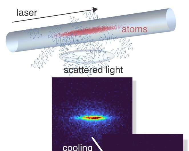 How ultracold, superdense atoms become invisible