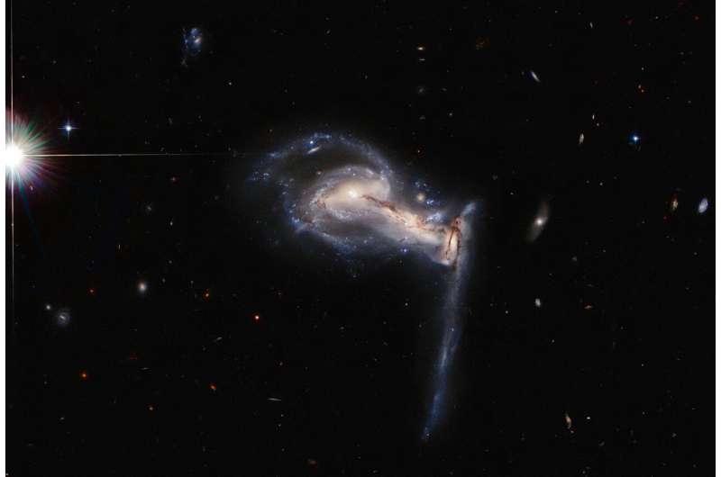 Hubble spots squabbling galactic siblings