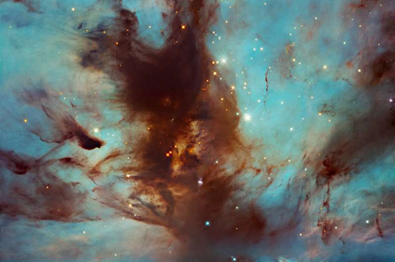 Hubble spots swirls of dust in the flame Nebula