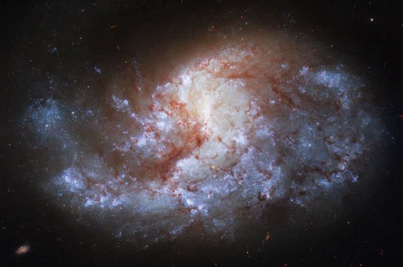 Hubble views a galaxy in a 'furnace' Hubble-views-a-galaxy