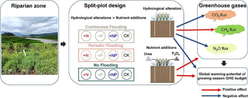 Hydrological alteration and nutrient input greatly affect greenhouse gas emission