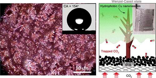 Hydrophobic copper catalyst to mitigate electrolyte flooding