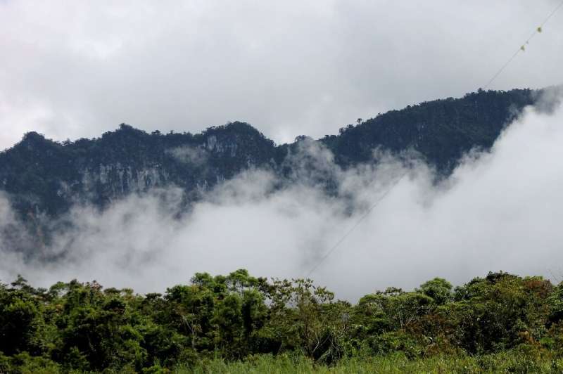 Illegal logging is a growing problem in Papua New Guinea
