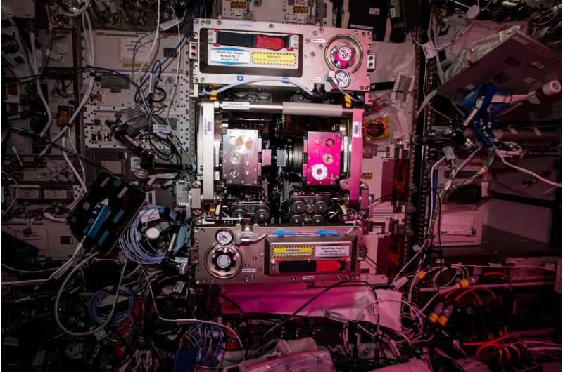 Image: ISS Biolab facility