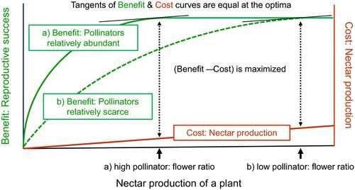 Impact of natural selection on nectar supply and demand