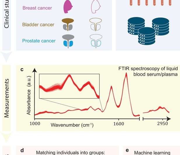 Infrared spectroscopic profiling can pick up molecular traces of solid tumors in blood