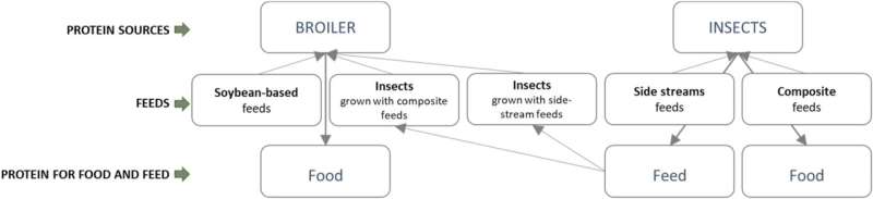 Insect protein has great potential to reduce the carbon footprint of European consumers