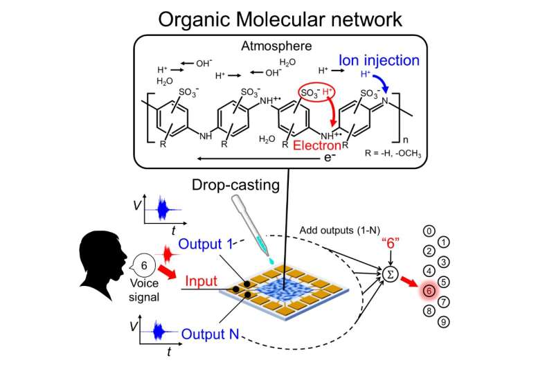 Intelligence emerging from random polymer networks