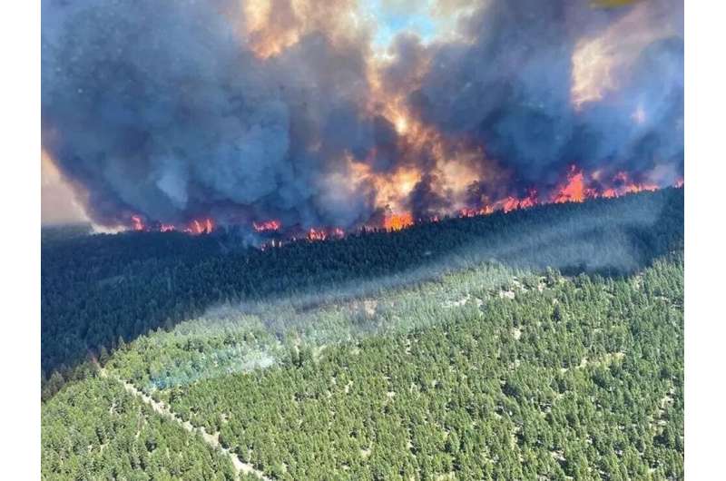 Intense heat and drought sparked dozens of wildfires
