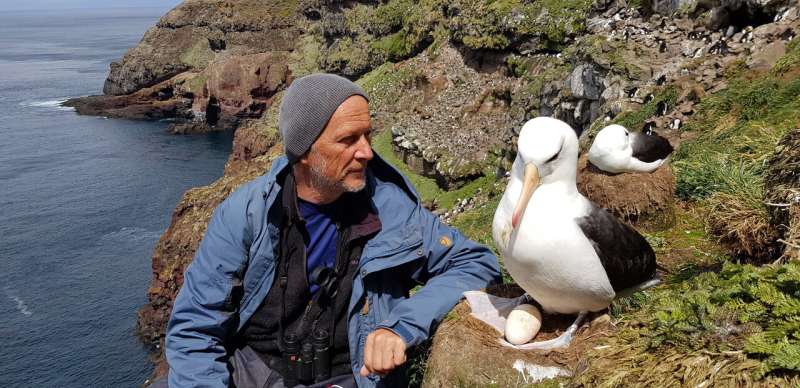 In the Antarctic, a scientist recruits albatrosses to pinpoint illegal fishing boats