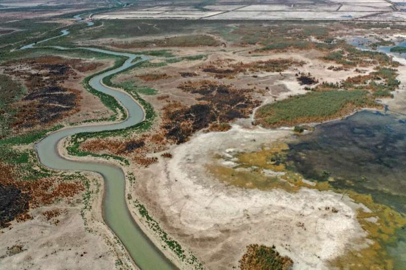 Iraq's marshes are also at risk from increased temperatures