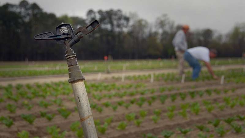 Irrigation, water management play key roles in smoothing drought impacts