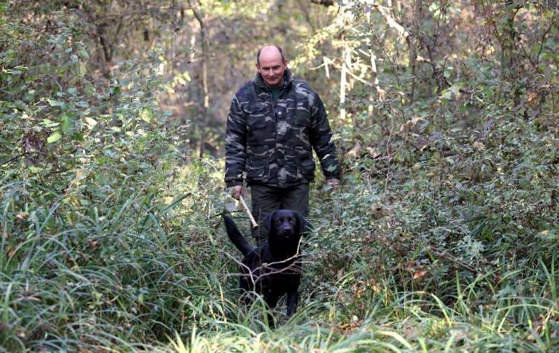 'It's more difficult to find a truffle than to sell it,' laments Darko Muzica, who oversees the Istra association of truffle hun