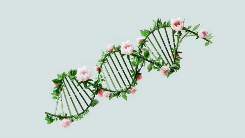 همه چیز در DNA آنها نیست: سلول های سرطانی با ژنوم یکسان می توانند رفتار متفاوتی داشته باشند