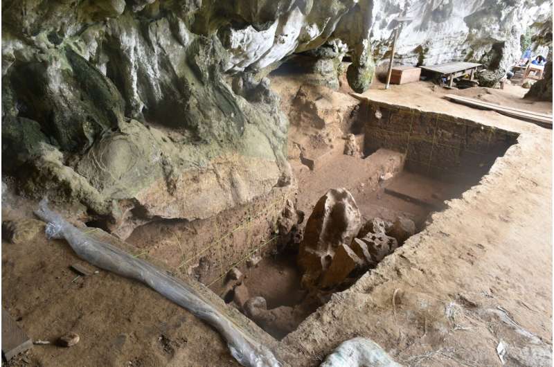 Jawbone discovered in Indonesian cave represents oldest human remains found in Wallacea
