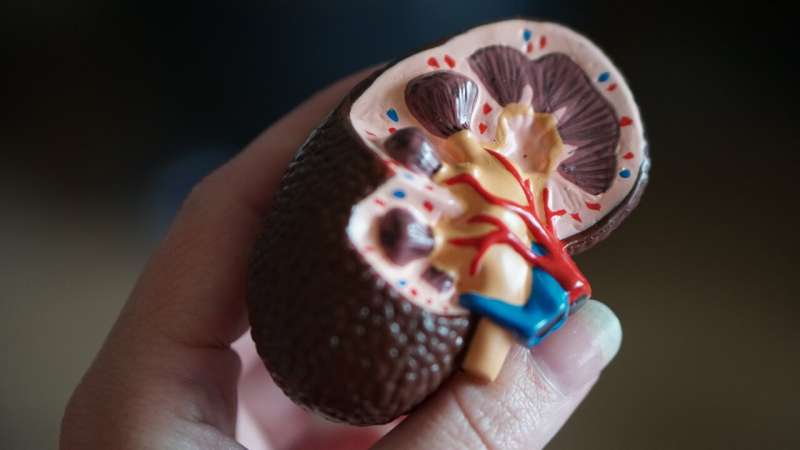 kidney dialysis