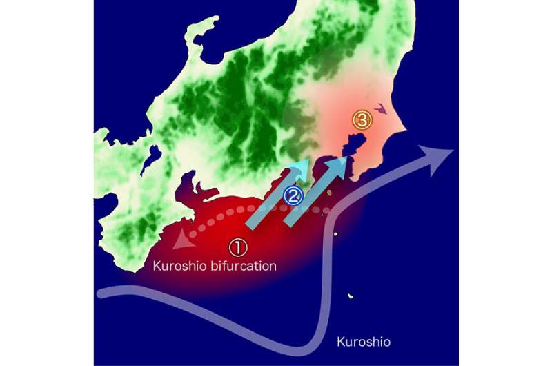Kuroshio current may be responsible for climatic discomfort in Tokyo, scientists find