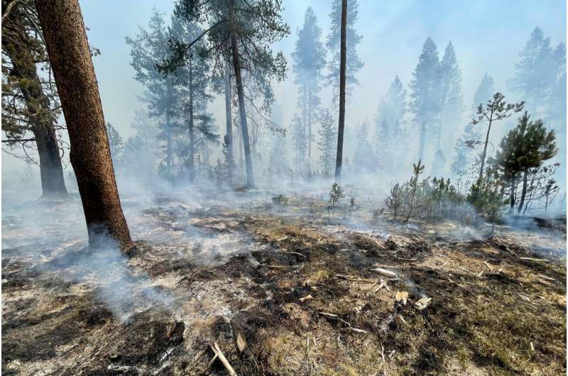 Largest fire grows, forces evacuation of wildlife station