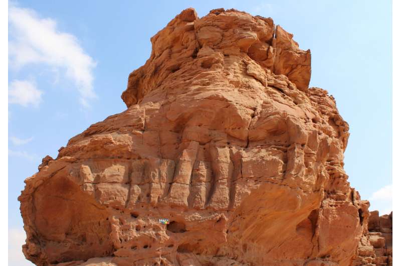 Life-sized camel carvings in Northern Arabia date to the Neolithic period