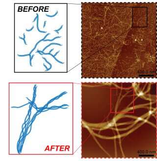Lighting the way to improved biomaterials