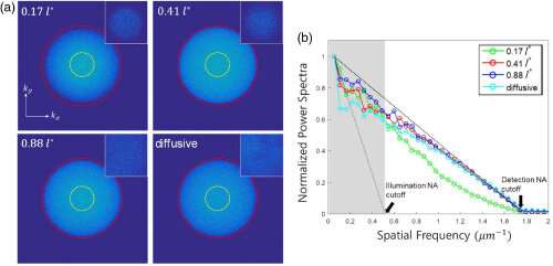 Limiting incident NA for efficient wavefront shaping through thin anisotropic scattering media