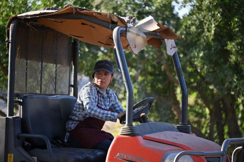 Liset Garcia drives a tractor on her farm in Reedley, California—the drought situation, she says, is 'pretty terrible'