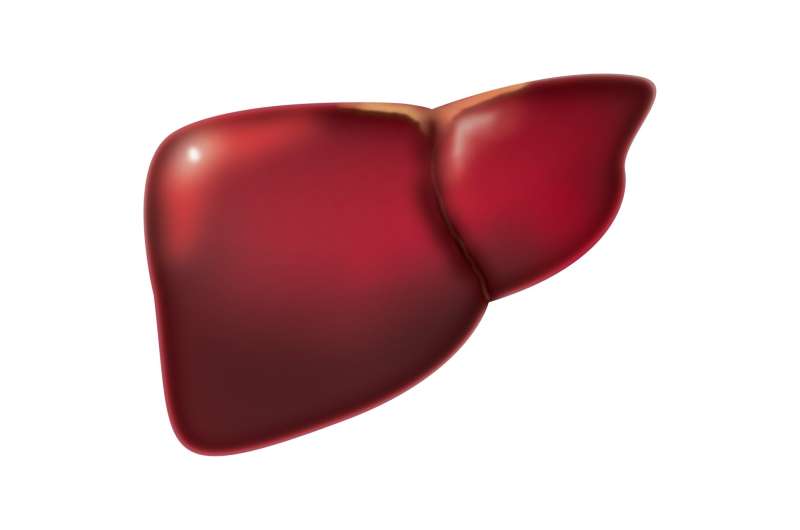 Los subtipos de enfermedad del hígado graso no alcohólico muestran distintos perfiles de riesgo cardiovascular