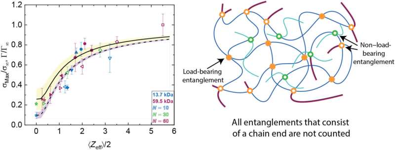 Load-bearing entanglements in polymer glasses