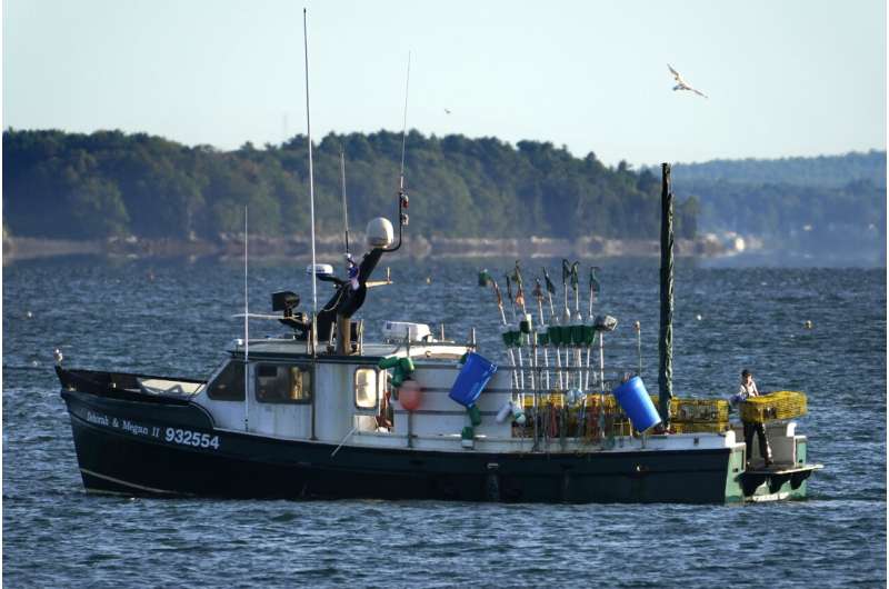 Lobster boat tracking coming to protect whales, fishery