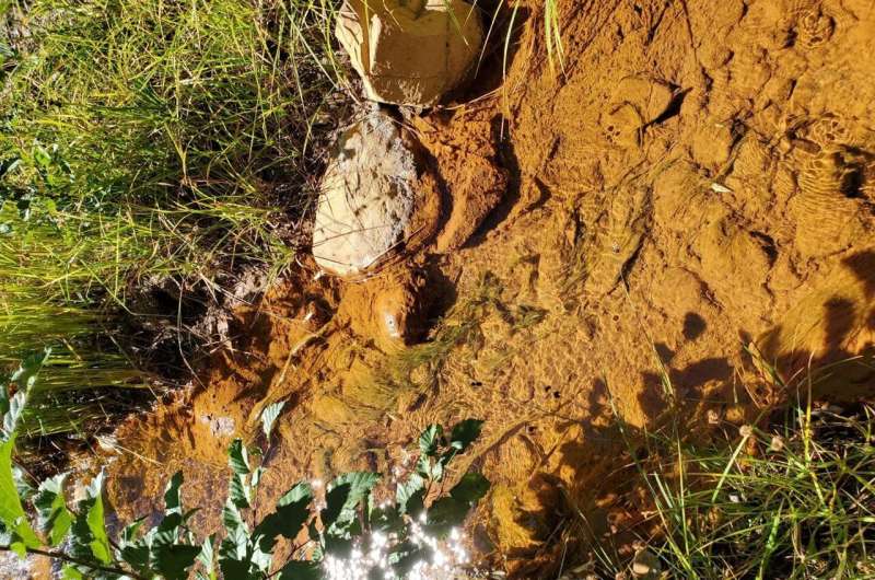 Long-term monitoring shows successful restoration of mining-polluted streams