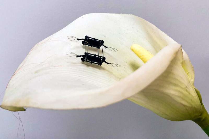 Low-voltage, power-dense artificial muscles that improve the performance of flying microrobots