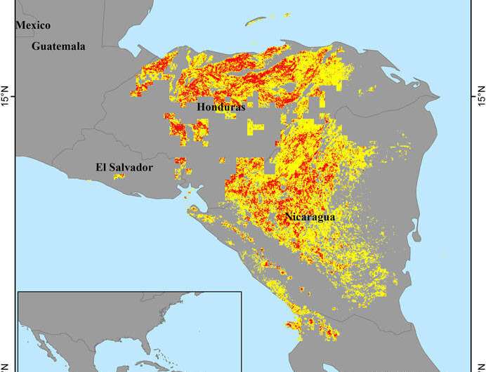 Machine learning model doubles accuracy of global landslide 'nowcasts'
