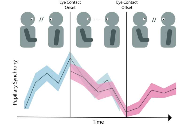 Making (and breaking) eye contact makes conversation more engaging