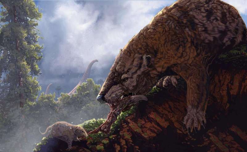 Mammals in the time of dinosaurs held each other back