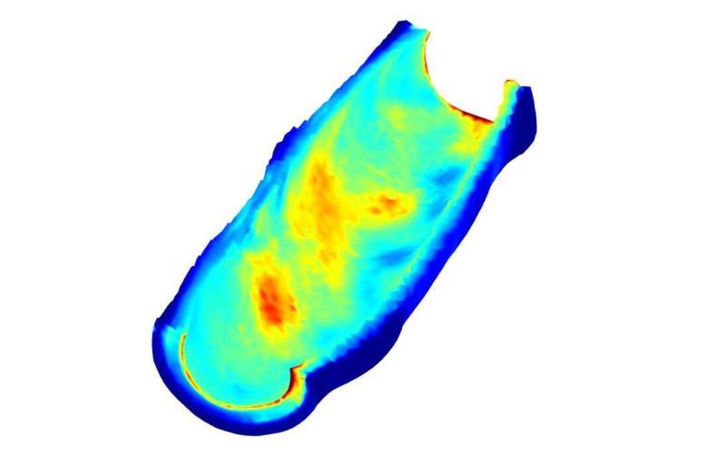 Mapping complex variability onto intricate virtual models