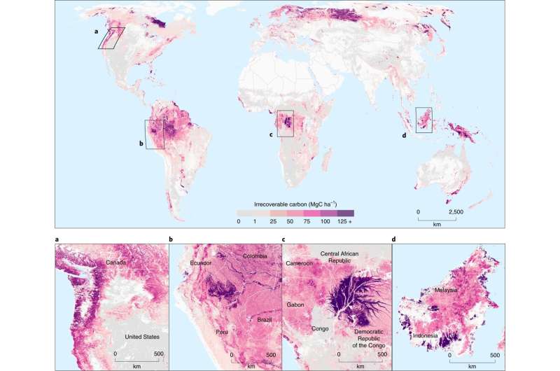 Mapping where carbon needs to remain in its natural place to avoid climate catastrophe