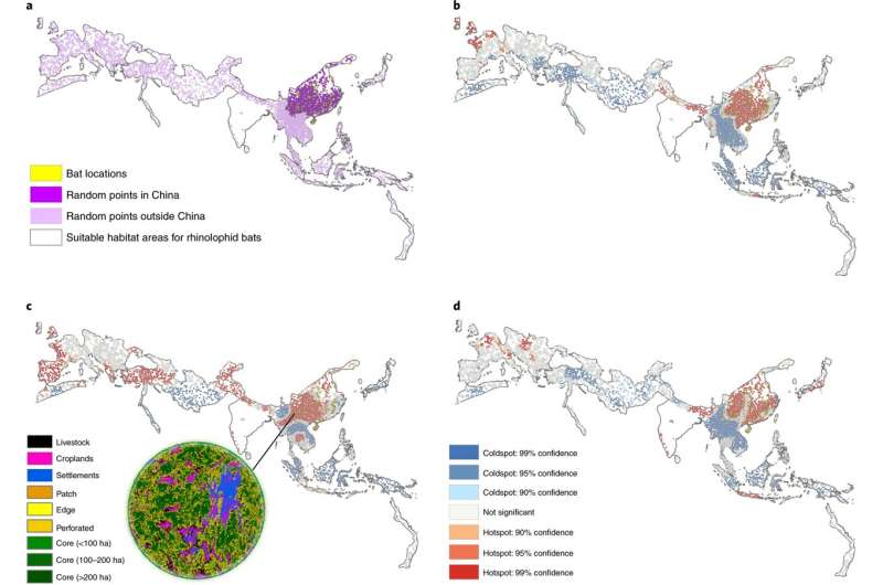 Mapping zoonotic 'hot spots' where risk of coronaviruses jumping from bats to humans is highest