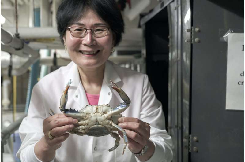 Maryland scientists crack blue crab’s genetic code