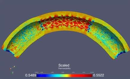 Mathematical model reveals possible role of drug-eluting stents in artery re-closure